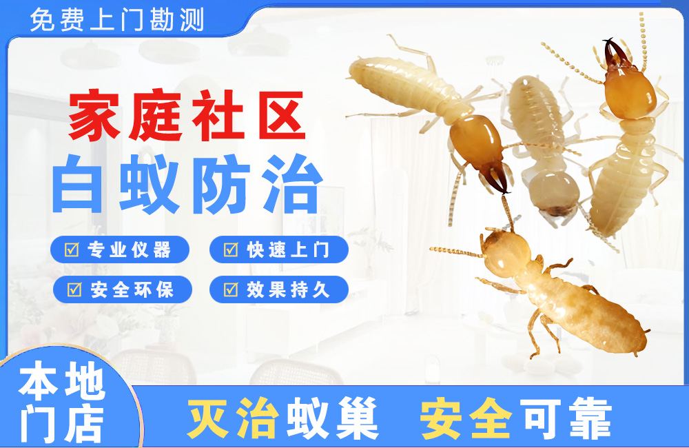 新余家庭社区白蚁防治