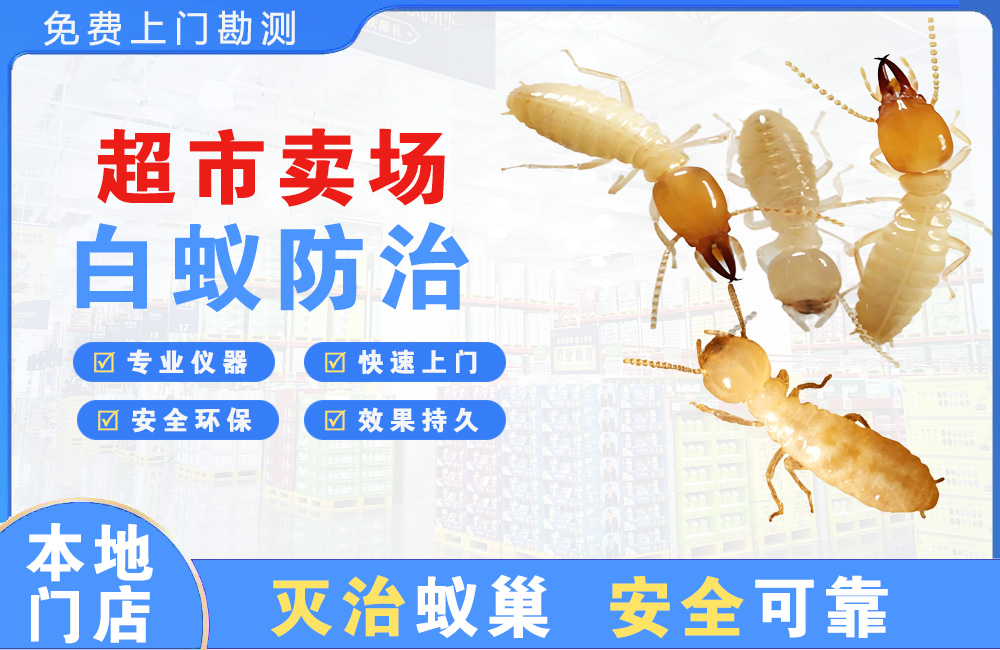 新余超市卖场白蚁防治