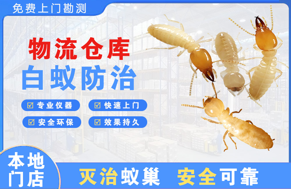 新余物流仓库白蚁防治