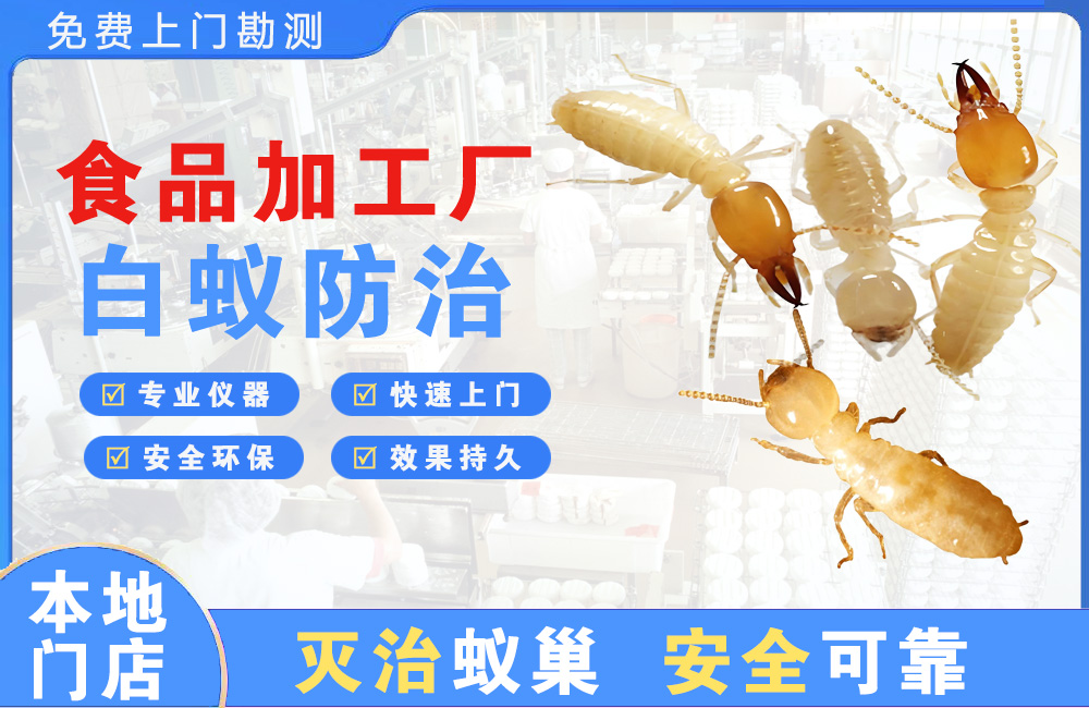 新余食品加工厂白蚁防治