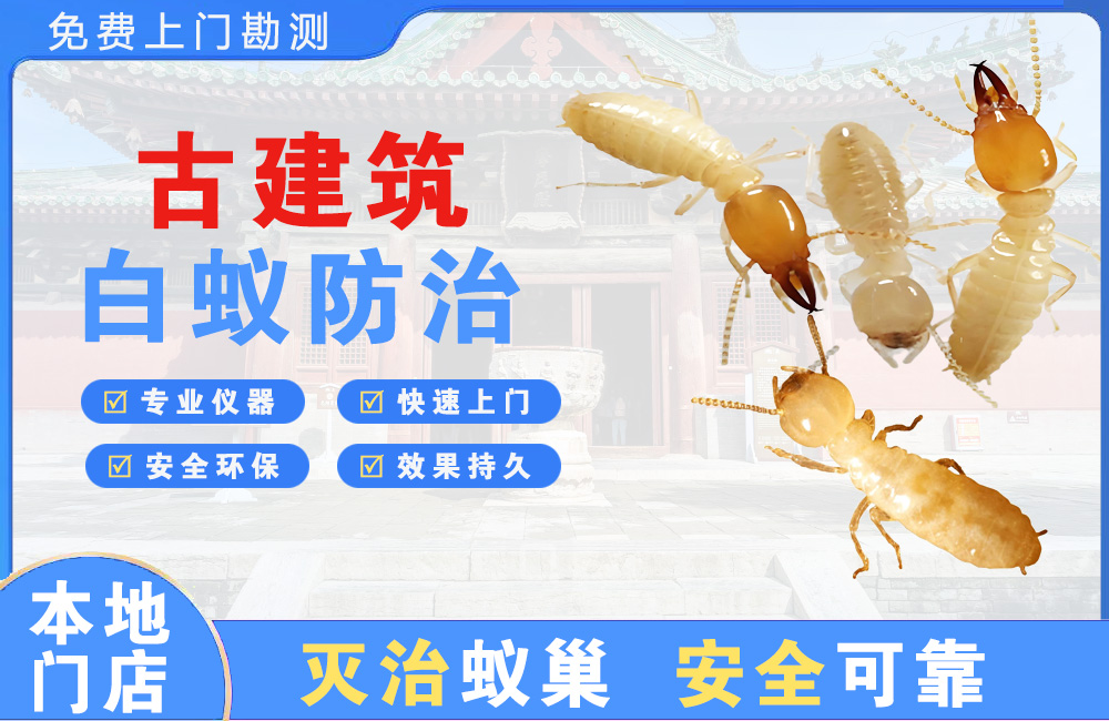 新余古建筑白蚁防治