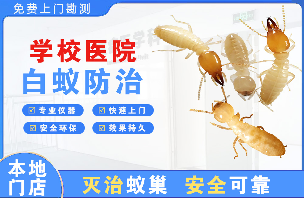 新余学校医院白蚁防治