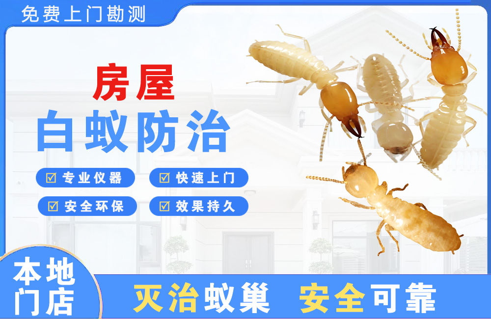 新余房屋白蚁防治