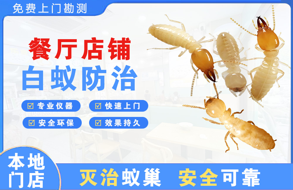 新余餐厅店铺白蚁防治
